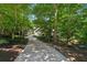 Long driveway leading to a beautiful home surrounded by lush greenery and mature trees at 508 Hastings Dr, Peachtree City, GA 30269