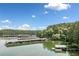 Expansive aerial view capturing the lake and boat slips, enhancing the waterfront lifestyle at 451 Wilderness Camp Rd, White, GA 30184