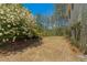 Landscaped backyard with lush greenery, mature trees, and well-maintained lawn space at 550 Vinings Springs Se Dr, Smyrna, GA 30126