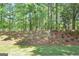 View of the lush landscape, including grass, trees, and various plantings at 1155 Graystone Xing, Alpharetta, GA 30005