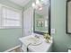 Well-lit bathroom with a gray vanity, a large mirror, and mint green walls creates a refreshing and clean space at 173 Cline Smith Ne Rd, Cartersville, GA 30121
