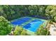 Aerial view of the community tennis courts showcasing the well-maintained blue courts surrounded by trees at 3059 Brookgreen Trl, Lawrenceville, GA 30043