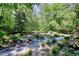 Lush garden landscape featuring gravel walking paths amid trees, plants and shrubs at 4853 Carlene Sw Way, Lilburn, GA 30047
