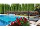 Beautiful pool with a water feature, lush greenery, and lounge chairs for a relaxing oasis at 904 Urban Ash Ct, Johns Creek, GA 30022
