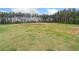 Expansive grassy backyard with trees, offering plenty of space for outdoor activities and enjoyment at 31 Village Trce, Rydal, GA 30171