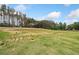 Beautiful grassy property ready for building with a tree line and blue skies at 31 Village Trce, Rydal, GA 30171