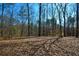 A serene backyard landscape, showcasing the natural beauty of mature trees and foliage at 6865 Cowan Mill Rd, Winston, GA 30187