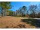 Lush front yard featuring a well-manicured lawn and a variety of trees, creating a picturesque setting at 6865 Cowan Mill Rd, Winston, GA 30187