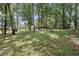 Picturesque backyard offering ample space, mature trees, and a tranquil setting, ideal for nature enthusiasts and outdoor activities at 3657 Linda Dr, Loganville, GA 30052