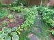Lush backyard garden featuring stepping stones, hostas, and foliage at 1884 Whitehawk Ct, Lawrenceville, GA 30043