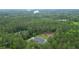 Aerial photograph showcases a home with above ground pool amidst lush forest landscape with lake in the background at 188 Macedonia Rd, White, GA 30184