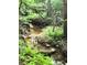 This property features a peaceful creek surrounded by lush ferns at 188 Macedonia Rd, White, GA 30184