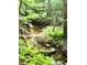 A serene creek surrounded by lush green ferns flowing through a vibrant forest setting at 188 Macedonia Rd, White, GA 30184