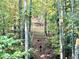 The wooded property includes a shooting range with target stands at 188 Macedonia Rd, White, GA 30184