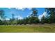 View of the treeline and backyard from the concrete patio at 1961 Ecoland Dr, Grayson, GA 30017