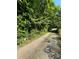 Gravel driveway bordered by lush greenery, leading to a secluded and private property at 4829 Moon Rd, Powder Springs, GA 30127