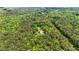 An aerial view of the property, showcasing its private setting, surrounded by mature trees and lush landscape at 130 Brooklet Way, Brooks, GA 30205