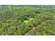 Aerial view of a private property, showcasing lush greenery and mature trees surrounding the home at 130 Brooklet Way, Brooks, GA 30205