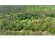 An aerial view shows the property's secluded location surrounded by lush greenery and mature trees at 130 Brooklet Way, Brooks, GA 30205
