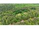 An aerial perspective of the home nestled amongst mature trees, providing privacy and tranquility at 130 Brooklet Way, Brooks, GA 30205