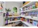 Pantry featuring organized shelving with bulk storage containers and natural light at 480 Wimbledon Ne Rd, Atlanta, GA 30324