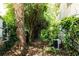 View of the property's lush backyard featuring mature trees and landscaping at 2831 Carolyn Se Dr, Smyrna, GA 30080