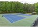 Outdoor tennis courts surrounded by green trees and shrubbery at 220 Chandler Ct, Sugar Hill, GA 30518