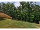Lush green backyard, perfect for relaxation and outdoor activities at 338 Boundless Ln, Canton, GA 30114