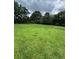 This property features a spacious and grassy backyard surrounded by trees at 6192 Meadowbrook Dr, Norcross, GA 30093
