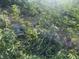 View of the home obscured by fallen trees and foliage at 702 Emily Pl # 0, Atlanta, GA 30318