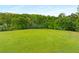 Expansive green lawn with mature trees in the background, ideal for outdoor activities and relaxation at 2240 Six Branches Dr, Roswell, GA 30076