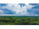 An aerial view of lush green trees with a stunning skyline view in the distance at 3150 Stratford Green Pl, Avondale Estates, GA 30002