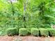A backyard featuring luscious trees and landscaping at 3150 Stratford Green Pl, Avondale Estates, GA 30002
