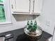 Black countertop near window view with potted plants and Pellegrino bottles on mirrored tray at 3150 Stratford Green Pl, Avondale Estates, GA 30002