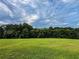 Expansive green field surrounded by mature trees under a cloudy blue sky at 3150 Stratford Green Pl, Avondale Estates, GA 30002