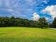 Large grassy field bordered by mature trees and a blue sky with clouds at 3150 Stratford Green Pl, Avondale Estates, GA 30002