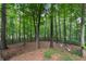 Secluded backyard with mature trees and landscaping, offering privacy and a connection with nature at 34 Johnston Nw Row, Cartersville, GA 30121