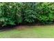 Expansive fenced backyard bordered by mature trees provides a private and tranquil outdoor space at 1404 Fairwinds Ct, Loganville, GA 30052
