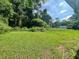Lush green backyard framed by mature trees, offering privacy and a natural, peaceful environment at 2369 Christian Cir, Covington, GA 30016