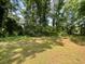 Lush green backyard surrounded by trees, offering a serene and private outdoor space at 2369 Christian Cir, Covington, GA 30016