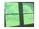 Window view overlooking greenery in the background at 2369 Christian Cir, Covington, GA 30016