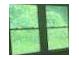 Window view with natural lighting and bright green surroundings at 2369 Christian Cir, Covington, GA 30016