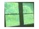 Bright natural light streaming through window at 2369 Christian Cir, Covington, GA 30016