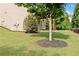 A well-maintained backyard with a tree encircled by mulch and a manicured lawn at 432 Providence Walk St, Canton, GA 30114