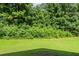 A lush, green backyard with plenty of space for outdoor activities and a private, wooded backdrop at 513 Shadow Valley Ct, Lithonia, GA 30058