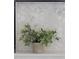 Close-up of a potted plant in a modern bathroom niche with marble-like honeycomb tiling at 3795 Newport Bay Dr, Alpharetta, GA 30005