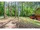 Expansive backyard featuring mature trees, providing shade and privacy at 5207 Shawn Ln, Stone Mountain, GA 30088