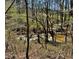 A creek flows through the woods at 408 Hasty Trl, Canton, GA 30115