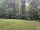 Scenic yard with lush greenery and a dense tree line providing privacy at 408 Hasty Trl, Canton, GA 30115