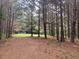 Picturesque view through tall trees into a large, open grassy area at 408 Hasty Trl, Canton, GA 30115